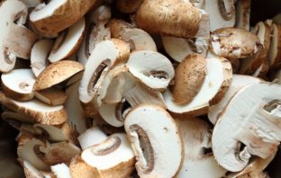 Why you should be growing your own mushrooms
